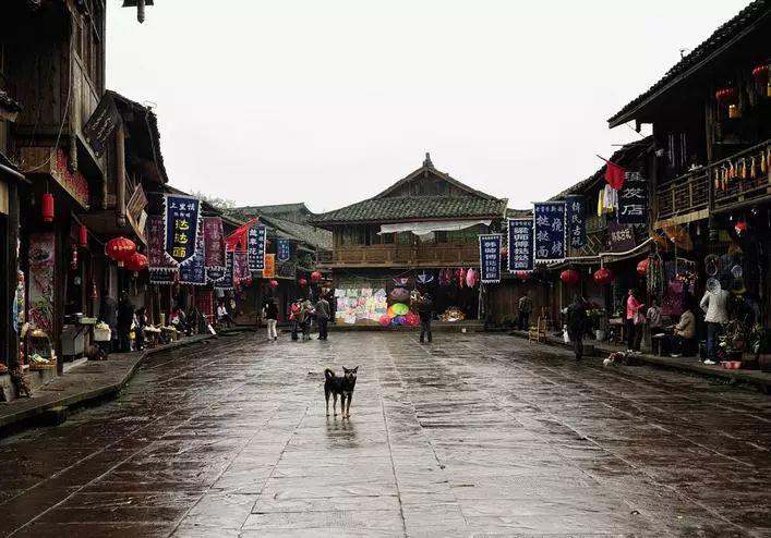 华储网发布关于1月26日中央储备冻猪肉轮换出库竞价交易有关事项的通知：本次挂牌竞价交易2万吨